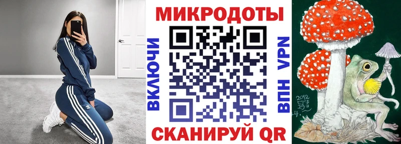 Галлюциногенные грибы Psilocybe  хочу   Еманжелинск 