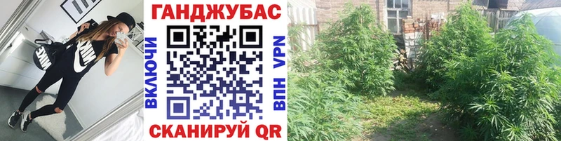 Конопля планчик  закладка  Еманжелинск 